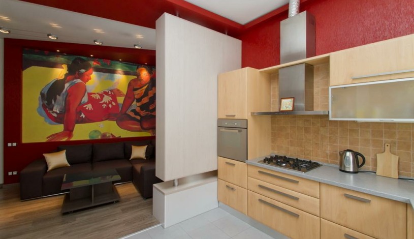 Apartment Borisa Grinchenko Kiev - Apt 20061