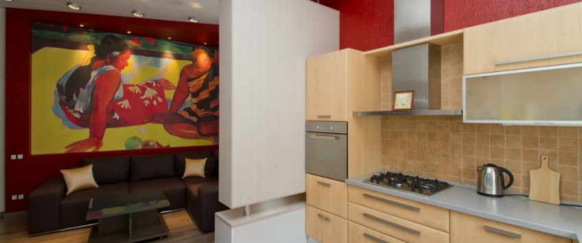 Apartment Borisa Grinchenko Kiev - Apt 20061