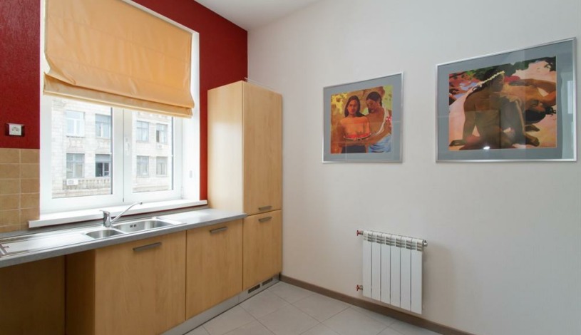 Apartment Borisa Grinchenko Kiev - Apt 20061