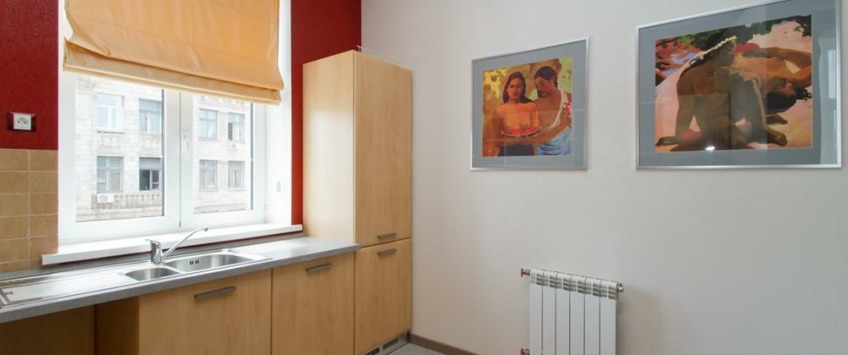 Apartment Borisa Grinchenko Kiev - Apt 20061