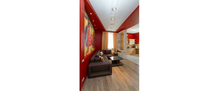 Apartment Borisa Grinchenko Kiev - Apt 20061