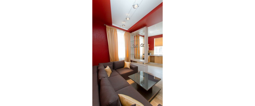 Apartment Borisa Grinchenko Kiev - Apt 20061