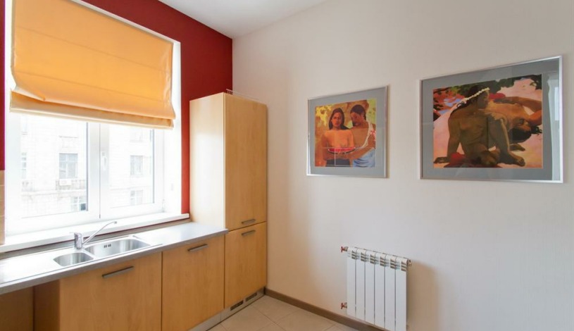 Apartment Borisa Grinchenko Kiev - Apt 20061