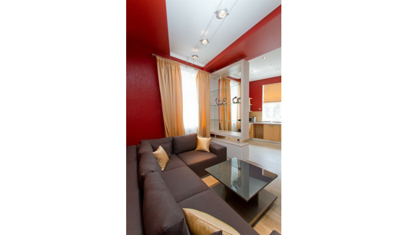 Apartment Borisa Grinchenko Kiev - Apt 20061