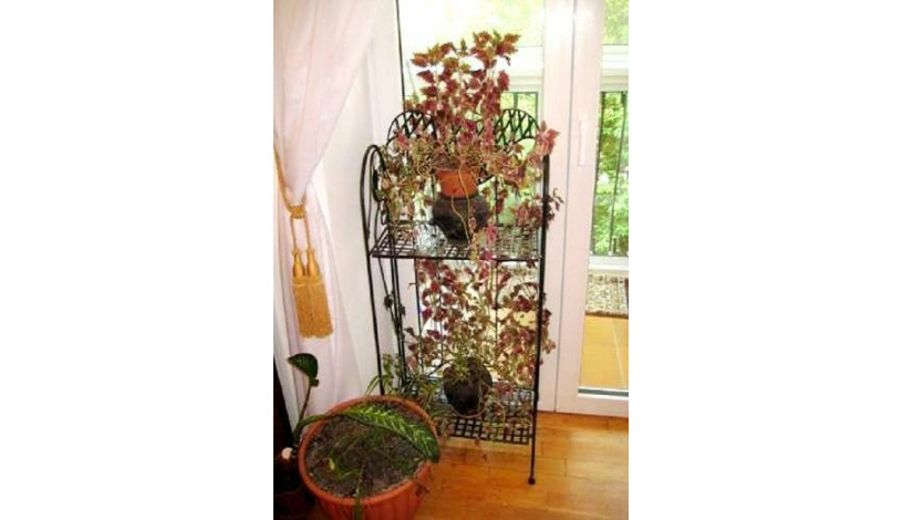 Apartment Borisa Grinchenko Kiev - Apt 24358