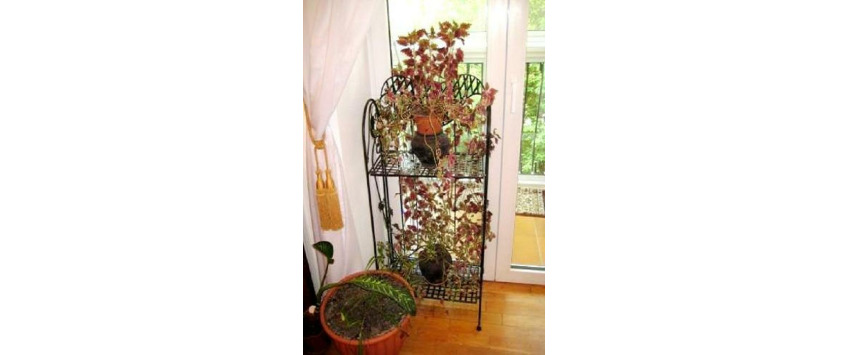 Apartment Borisa Grinchenko Kiev - Apt 24358