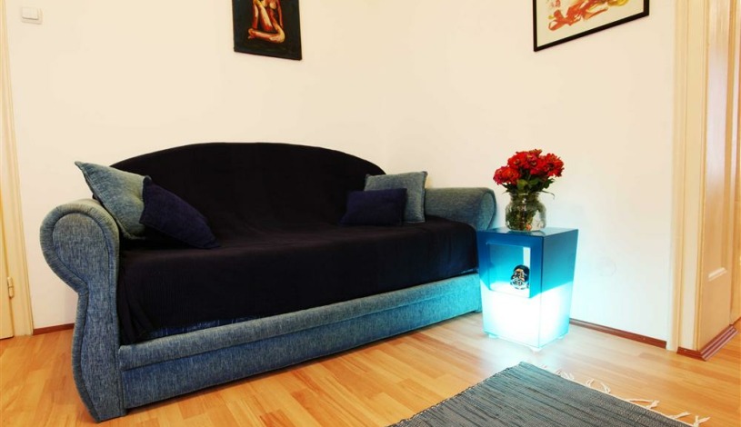 Apartment Braće Nedić Beograd - Apt 33482