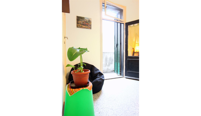 Apartment Braće Nedić Beograd - Apt 33482