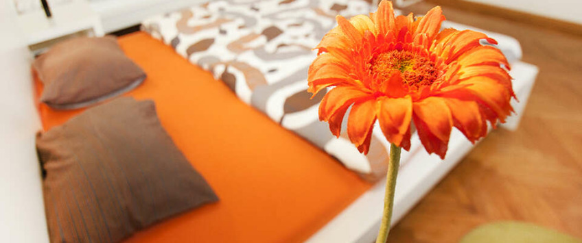 Apartment Brankova Beograd - Apt 38118