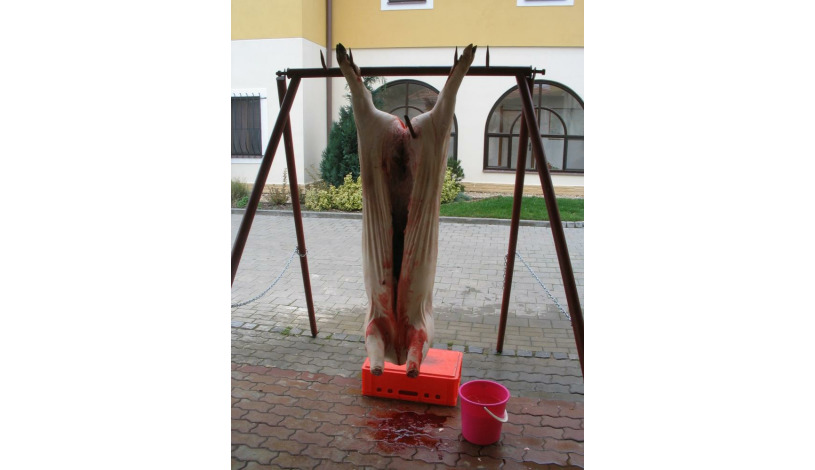 PENZION ONYX Lednice