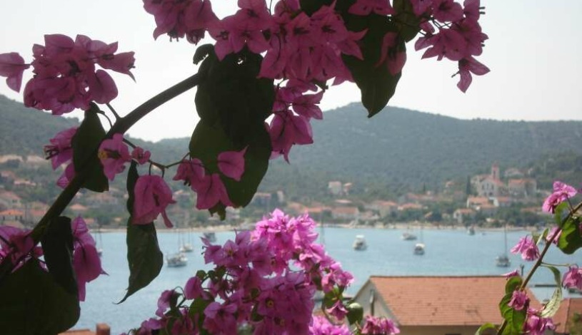 Apartment Budislavićeva ulica Trogir - Apt 36603