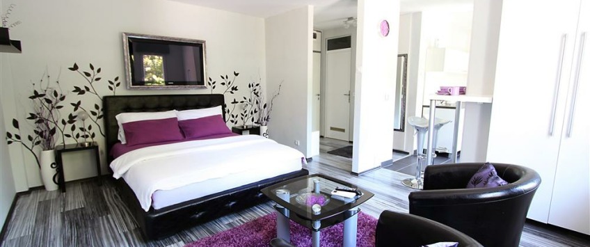 Apartment Bulevar Arsenija Čarnojevića Beograd - Apt 27880