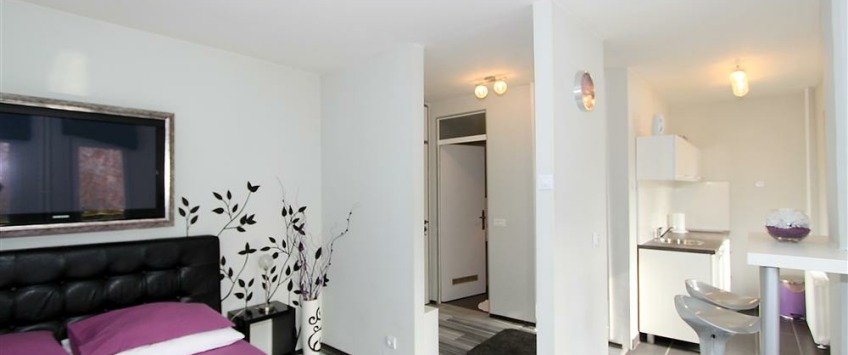 Apartment Bulevar Arsenija Čarnojevića Beograd - Apt 27880