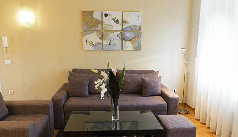 Apartment Bulevar despota Stefana Beograd - Apt 18275
