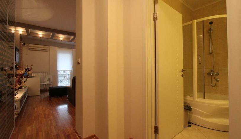 Apartment Bulevar Oslobođenja Beograd - Apt 29105