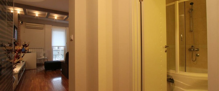 Apartment Bulevar Oslobođenja Beograd - Apt 29105