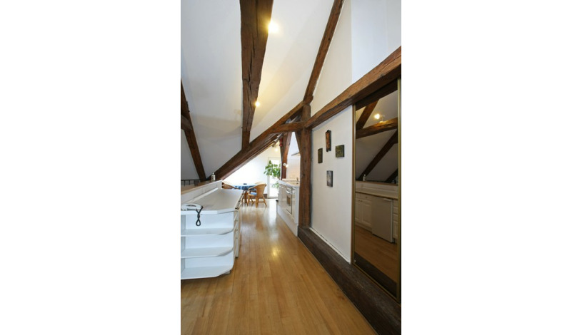 Residence Dvorak Praha