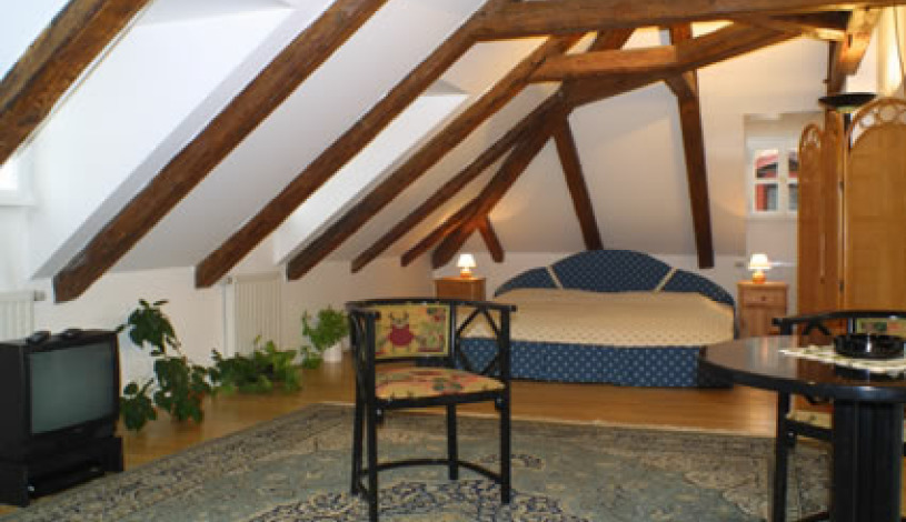Residence Dvorak Praha