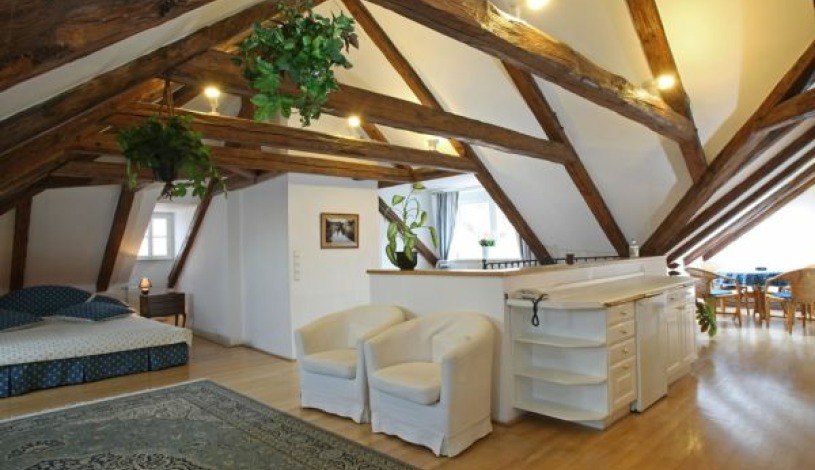 Residence Dvorak Praha