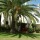 Apartment Calle Afrodita Alicante - Apt 24014
