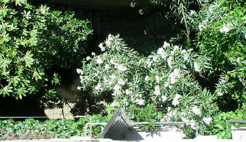 Apartment Calle del Pistor Venezia - Apt 35978