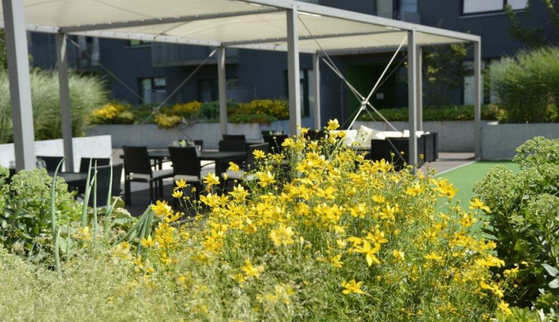 Campea Aparthotel Brno