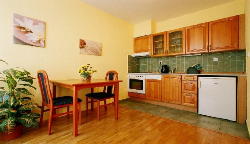 Capital Apartments Vaclavske namesti Praha - Štúdio (garsónka)