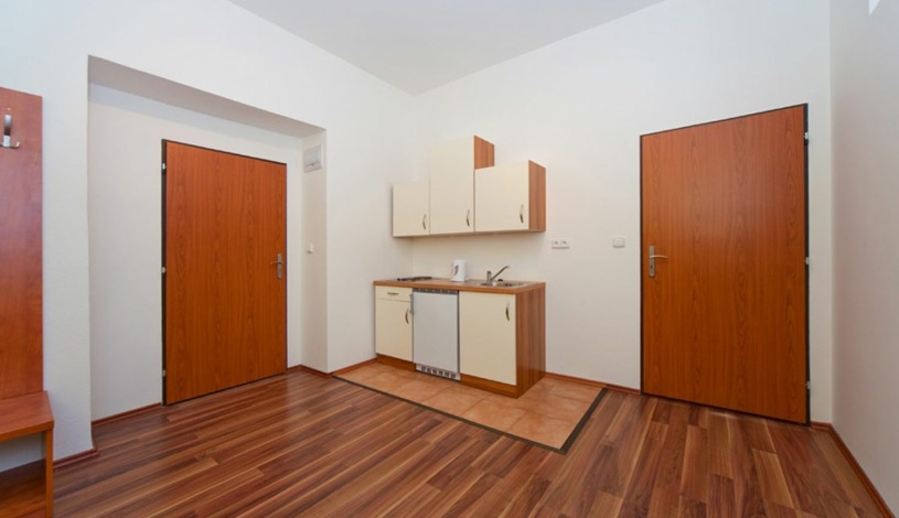 Apartments house Amandment Praha - 1-bedroom apartment (2 people)
