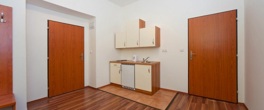 Apartments house Amandment Praha - 1-ložnicové apartmá (2 osoby)