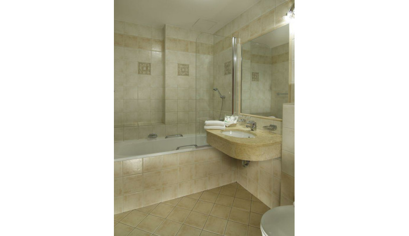 Hotel Carlton Praha - Double room