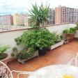 Apartment Carrer Clotet Barcelona - Apt 31897