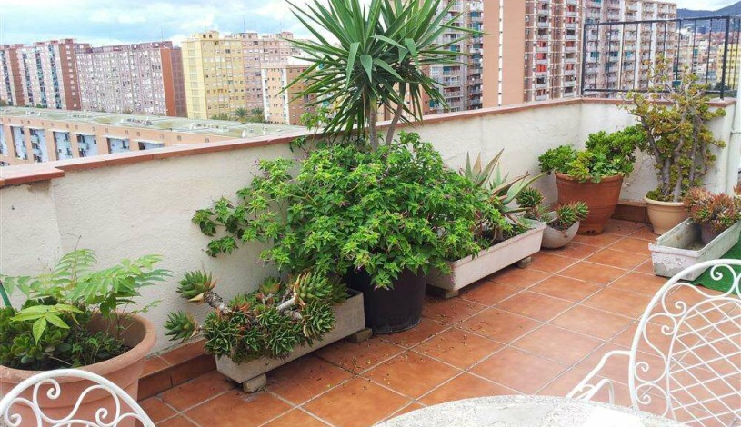 Apartment Carrer Clotet Barcelona - Apt 31897