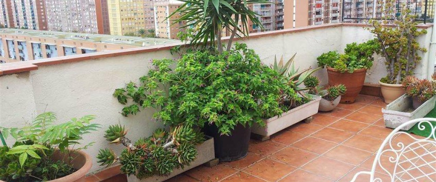 Apartment Carrer Clotet Barcelona - Apt 31897