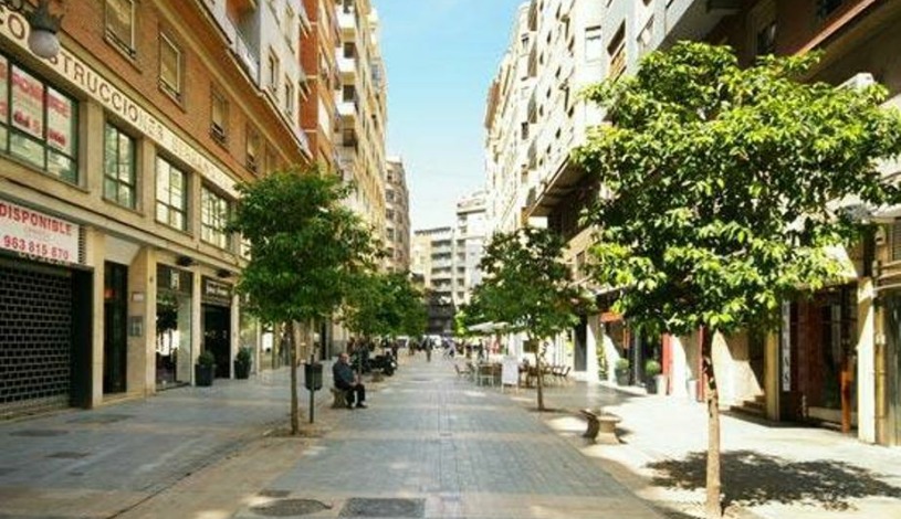 Apartment Carrer d´En Sanç Valencia - Apt 24303