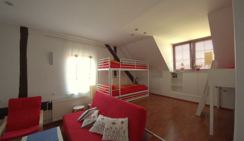 Apartment Celovška cesta Ljubljana - Apt 35952