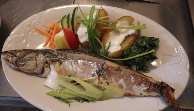 Chata Labská - Špindlerův Mlýn Špindlerův Mlýn