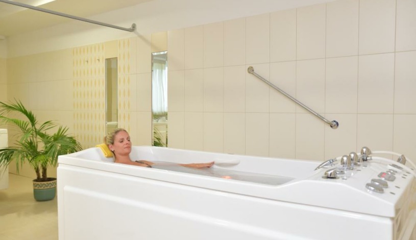 Hotel Komorní hůrka Cheb