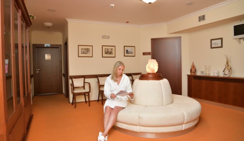 Hotel Komorní hůrka Cheb