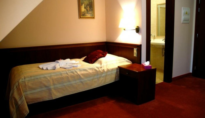 Hotel Komorní hůrka Cheb - Jednolůžkový
