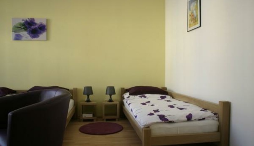Penzion U Vlčku Cheb - Jednolůžkový