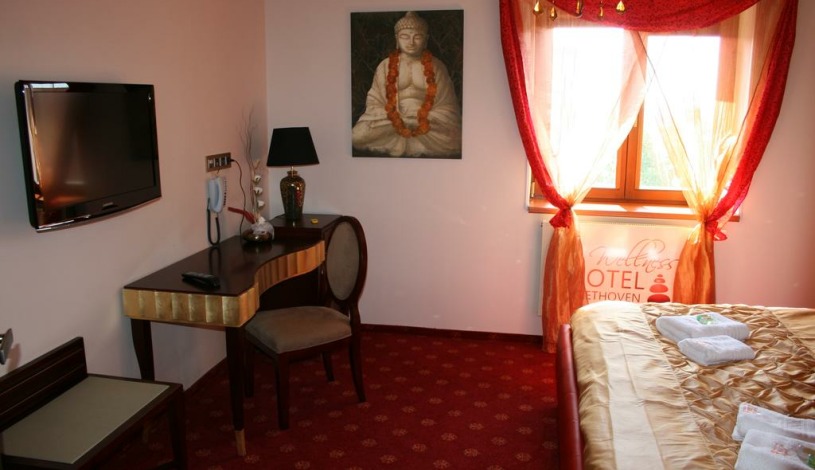 Wellness hotel Beethoven**** Chomutov