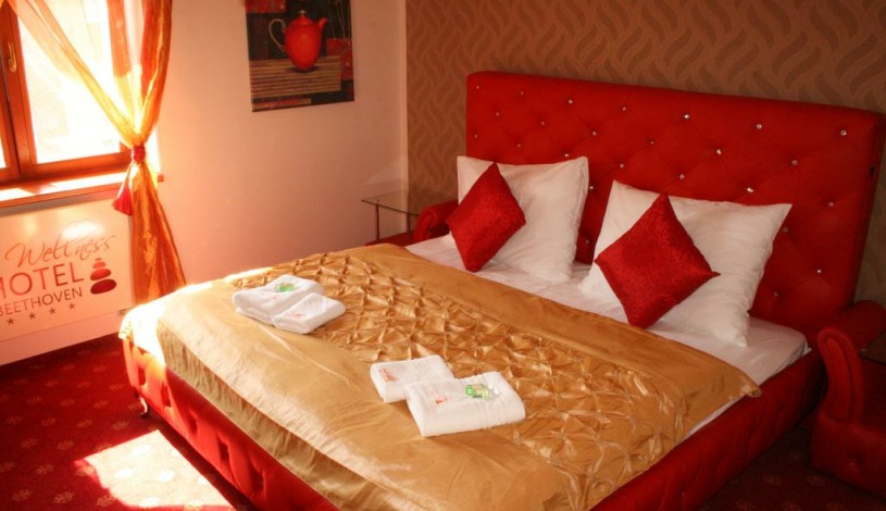 Wellness hotel Beethoven**** Chomutov