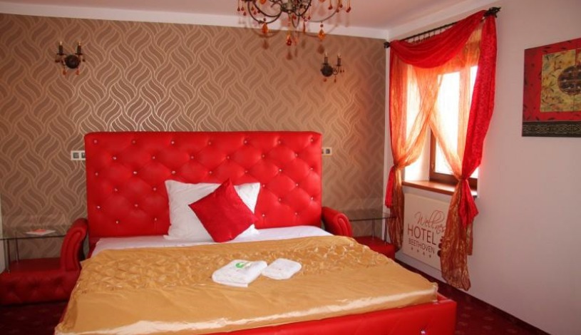 Wellness hotel Beethoven**** Chomutov