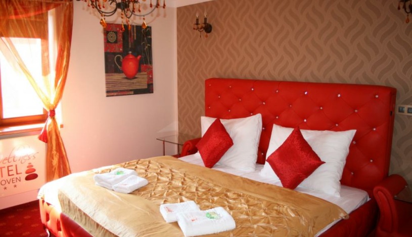 Wellness hotel Beethoven**** Chomutov - Apartmán 2+1