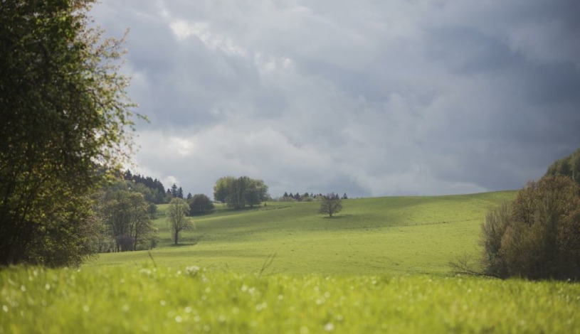 Hotel Sudety Chomutov