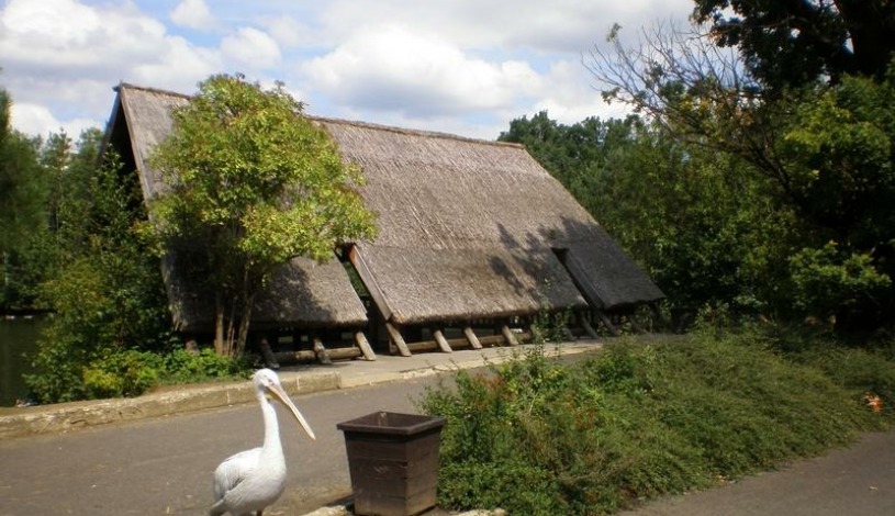 Hotel Clochard Chomutov