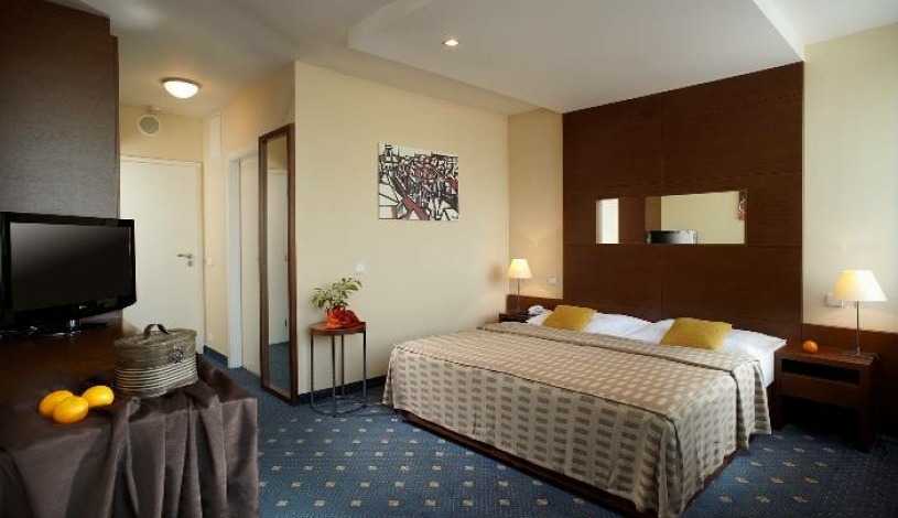 Hotel Fortuna West Praga Praha - Pokój 1-osobowy