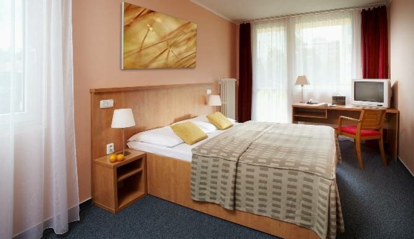 Hotel Fortuna West Praga Praha - Pokój 1-osobowy