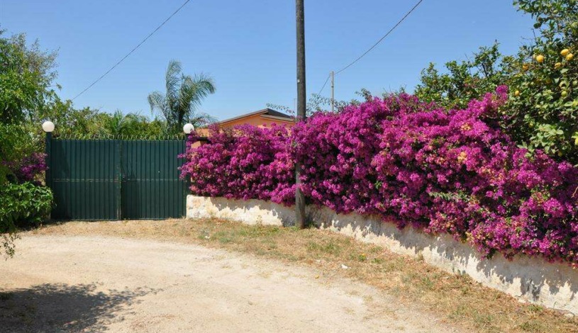 Apartment Contrada Falconara Sicilia - Apt 25411