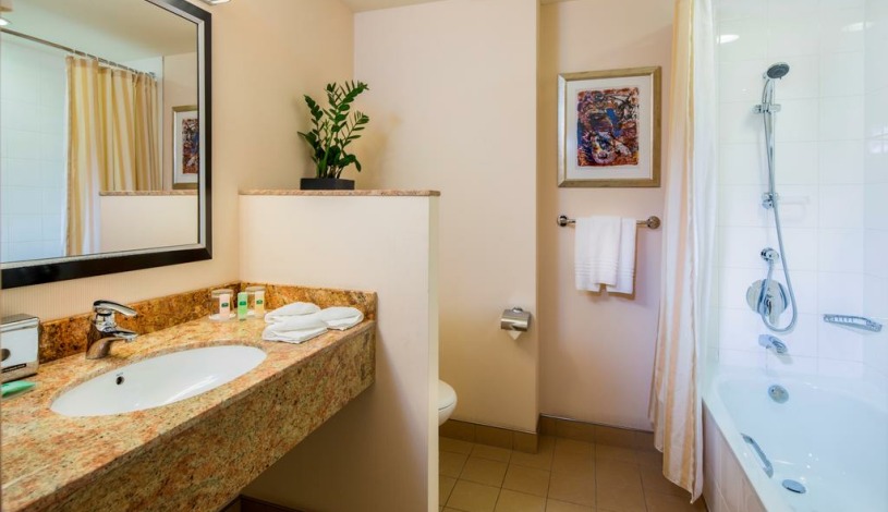 Hotel Marriott Courtyard Prague Flora Praha